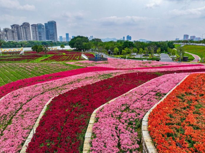 WhatsApp Image 2026-04-13 at 16.10.17