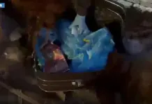 A Catania sequestrati 11 chili di droga, due arresti