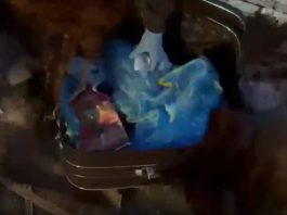 A Catania sequestrati 11 chili di droga, due arresti