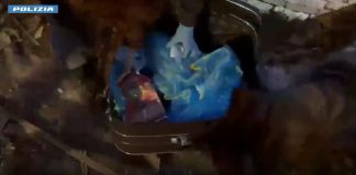 A Catania sequestrati 11 chili di droga, due arresti