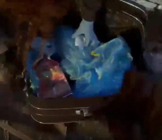 A Catania sequestrati 11 chili di droga, due arresti