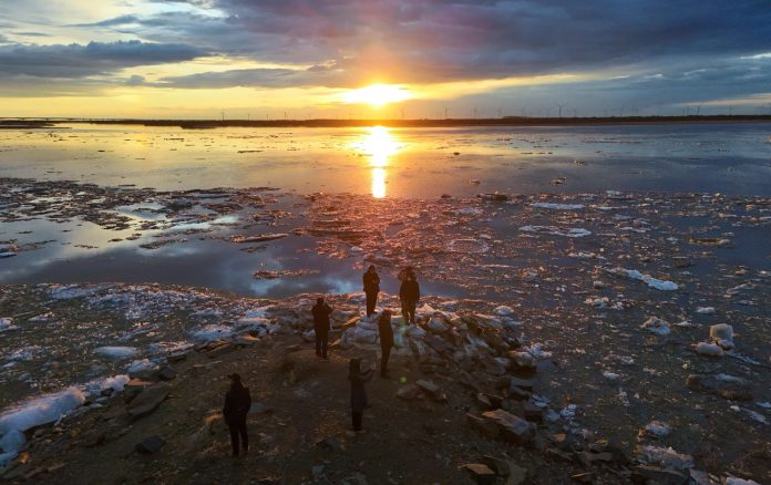 WhatsApp Image 2026-04-14 at 14.59.51