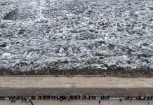 Cina: banchi di ghiaccio alla deriva sui fiumi Heilongjiang e Songhua (3)