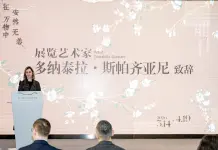 Cina: l’artista italiana Donatella Spaziani tiene la prima mostra personale a Chongqing