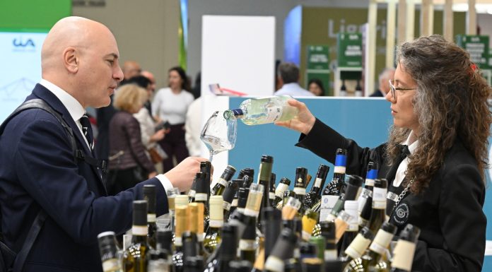 Italia: Verona ospita il 58esimo Vinitaly con partecipanti da 130 Paesi (2)