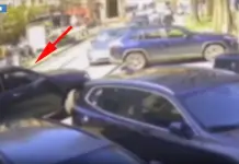 Ruba un orologio da 250 mila euro in centro a Milano, arrestato un 60enne / Video