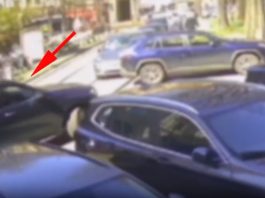 Ruba un orologio da 250 mila euro in centro a Milano, arrestato un 60enne / Video