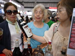 Cina: Haikou ospita la sesta International Consumer Products Expo (2)