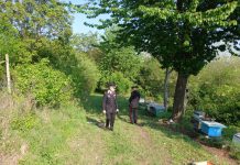 In provincia di Asti ammazza l’ex moglie e il compagno, poi si toglie la vita