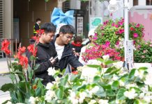 Cina, al via lo Shanghai International Flower Show (2)