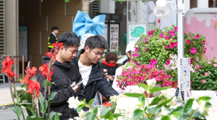 Cina, al via lo Shanghai International Flower Show (2)