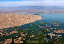 Cina: a Shahu cresce la biodiversità degli uccelli migratori (1)