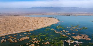 Cina: a Shahu cresce la biodiversità degli uccelli migratori (1)