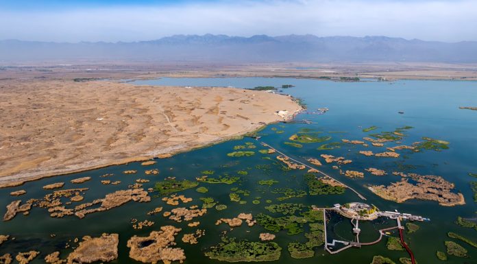 Cina: a Shahu cresce la biodiversità degli uccelli migratori (1)