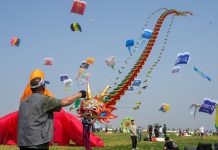 Cina: al via nello Shandong il 43esimo Festival internazionale degli aquiloni (2)