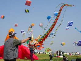 Cina: al via nello Shandong il 43esimo Festival internazionale degli aquiloni (2)