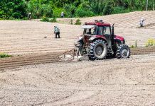 Cina: Hechuan, intensa attività agricola per l’aratura primaverile (2)