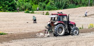 Cina: Hechuan, intensa attività agricola per l’aratura primaverile (2)