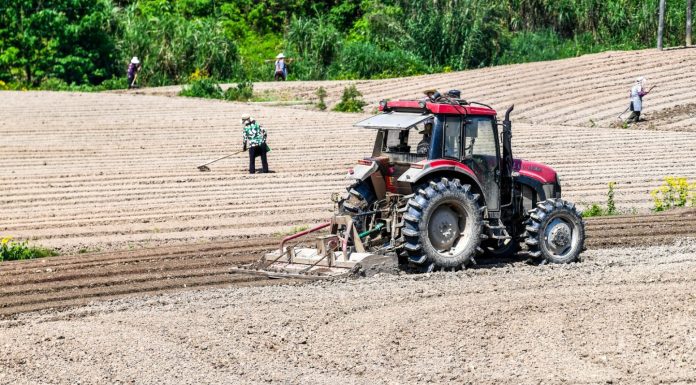 Cina: Hechuan, intensa attività agricola per l’aratura primaverile (2)