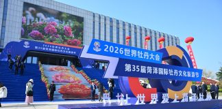 Cina: l’evento internazionale sulla peonia di Heze attira il pubblico globale