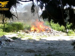 Bruciavano rifiuti a Maracalagonis, due denunciati: scattano i sequestri
