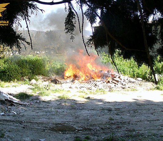 Bruciavano rifiuti a Maracalagonis, due denunciati: scattano i sequestri