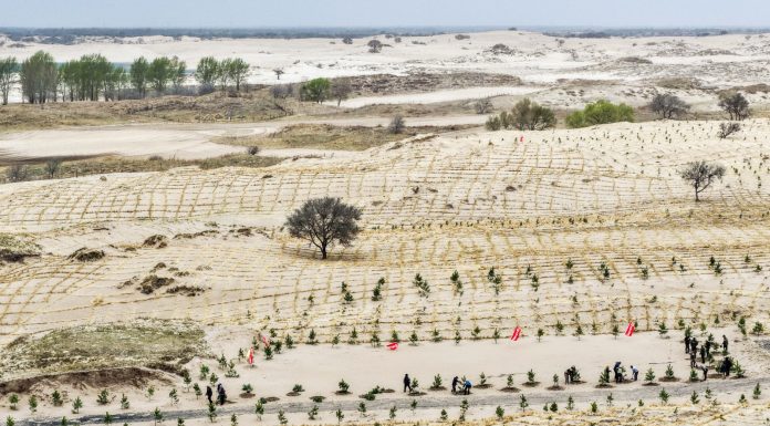 Cina: Tongliao sviluppa progetto di lotta alla desertificazione (2)