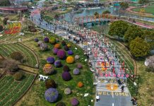 Cina: Jiangsu promuove tutela eco-ambientale e sviluppo verde (1)