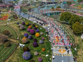 Cina: Jiangsu promuove tutela eco-ambientale e sviluppo verde (1)