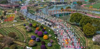 Cina: Jiangsu promuove tutela eco-ambientale e sviluppo verde (1)