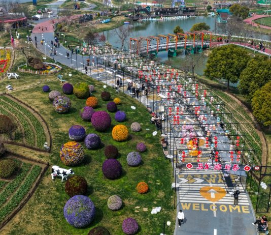 Cina: Jiangsu promuove tutela eco-ambientale e sviluppo verde (1)