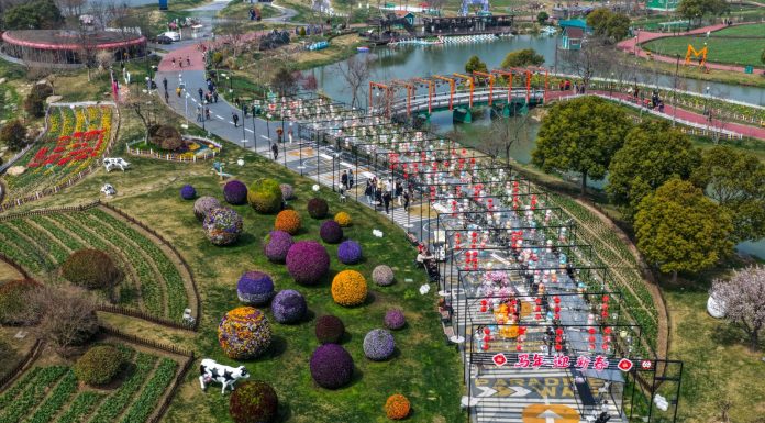 Cina: Jiangsu promuove tutela eco-ambientale e sviluppo verde (1)