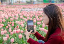 Cina: Jiangsu promuove tutela eco-ambientale e sviluppo verde (2)