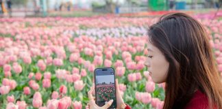 Cina: Jiangsu promuove tutela eco-ambientale e sviluppo verde (2)