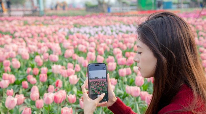 Cina: Jiangsu promuove tutela eco-ambientale e sviluppo verde (2)