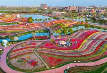 Cina: Jiangsu promuove tutela eco-ambientale e sviluppo verde (3)