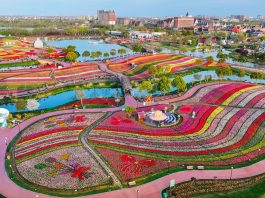 Cina: Jiangsu promuove tutela eco-ambientale e sviluppo verde (3)