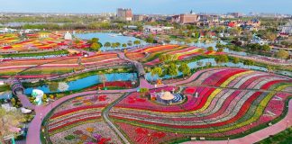 Cina: Jiangsu promuove tutela eco-ambientale e sviluppo verde (3)