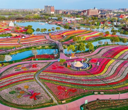 Cina: Jiangsu promuove tutela eco-ambientale e sviluppo verde (3)