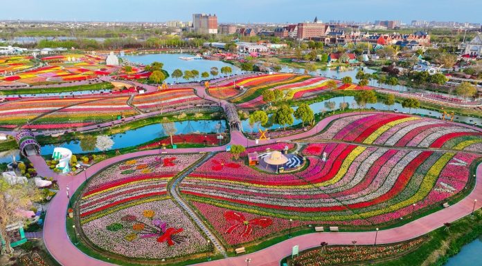 Cina: Jiangsu promuove tutela eco-ambientale e sviluppo verde (3)