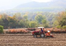Cina: rapporto prevede aumento offerta di cereali, principali prodotti agricoli nel 2026