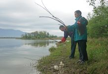 Cina: gli abitanti di Dazizui si impegnano per la tutela degli aironi cenerini (2)