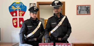 Sequestrati 6kg di droga e 9 mila euro, arrestato 35enne in provincia di Roma