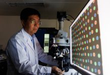 Cina: Pechino, gruppo di ricerca compie progressi nei metamateriali ottici (1)