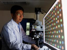 Cina: Pechino, gruppo di ricerca compie progressi nei metamateriali ottici (1)