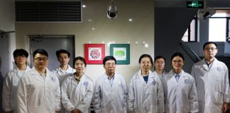 Cina: Pechino, gruppo di ricerca compie progressi nei metamateriali ottici (2)