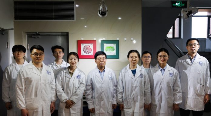 Cina: Pechino, gruppo di ricerca compie progressi nei metamateriali ottici (2)