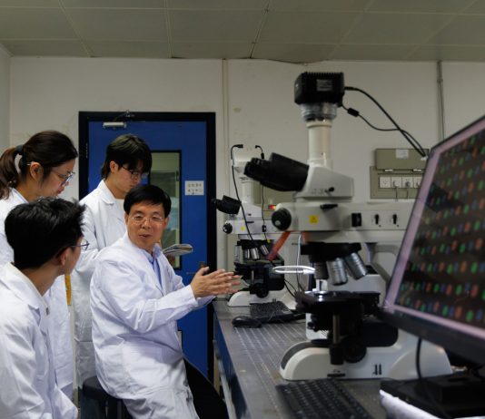 Cina: Pechino, gruppo di ricerca compie progressi nei metamateriali ottici (3)