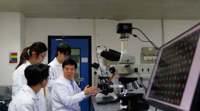 Cina: Pechino, gruppo di ricerca compie progressi nei metamateriali ottici (3)