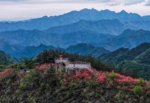 Cina: azalee alpine rilanciano il turismo rurale nello Zhejiang (1)